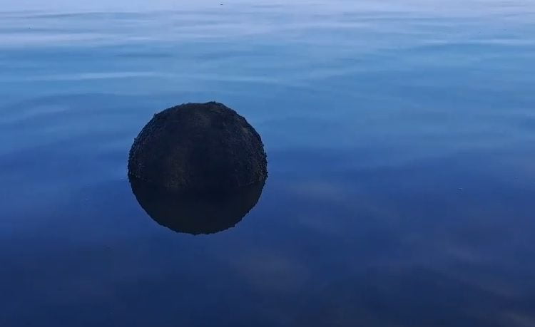 scandal intre romania si rusia din cauza minelor aflate in deriva in marea neagra 69c658b3bec8e