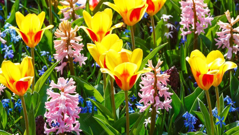 semnele din natura care iti spun cum va fi recolta si vremea 69a3d1be04e2c