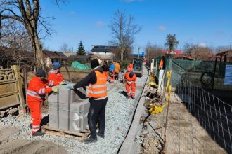 strazile lastunului trandafirului porumbelului si scolii din corbu in plin proces de modernizare 69b309b76cb97