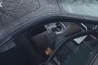 surse apropiate anchetei a facut tot posibilul sa se intoarca la puscarie traiectoria unui individ pe ruta bucuresti adjud constanta 69a56e287a6d6