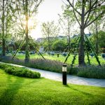 topul firmelor de intretinere peisagistica din constanta afaceri de zeci de milioane de lei documente 69c6a23636f71