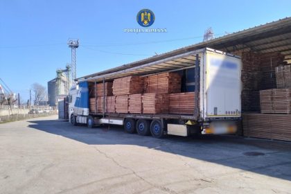 transport ilegal de cherestea depistat in portul constanta 69b2a0400b7cf
