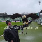 un vultur maiestuos prezenta inedita la meciul ludogoret razgrad farul constanta 69c905739305c