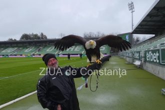 un vultur maiestuos prezenta inedita la meciul ludogoret razgrad farul constanta 69c905739305c