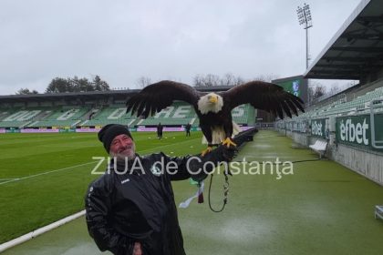 un vultur maiestuos prezenta inedita la meciul ludogoret razgrad farul constanta 69c905739305c