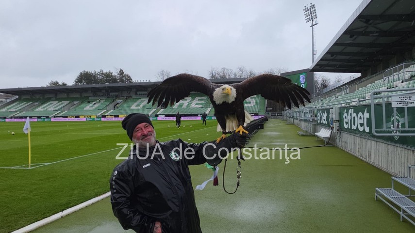 un vultur maiestuos prezenta inedita la meciul ludogoret razgrad farul constanta 69c905739305c