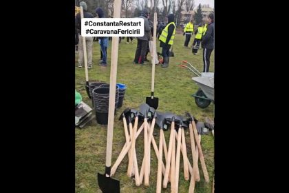 video cel mai bun moment sa plantezi un copac era acum 20 de ani al doilea cel mai bun moment e acum 69c0000880f51