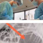 video interventie de urgenta la ora 3 dimineata la spitalul vetzone un ciobanesc german salvat de la moarte 69bd022081bab