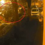 video locatarii din poarta 6 sustin ca sunt terorizati de grupuri de tineri mascati 69ca702492995