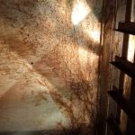 video restaurantul la canapele din mangalia a fost inchis de protectia consumatorilor 69a8b9f05d72c