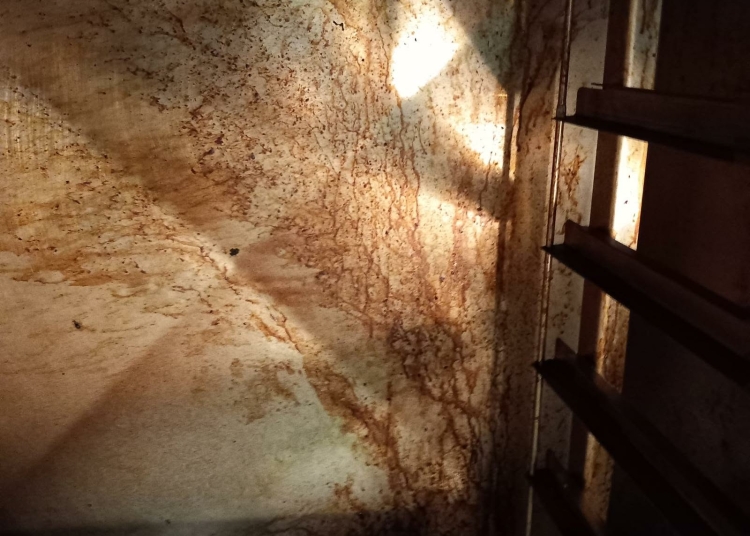 video restaurantul la canapele din mangalia a fost inchis de protectia consumatorilor 69a8b9f05d72c