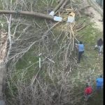 video scandalul din zona abator ia amploare au fost taiati copacii in zona unde cambela vrea sa faca parcare 69c4f273ee39f