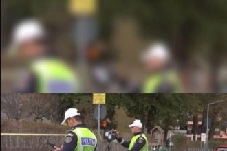 accident rutier in care a fost implicat un minor in varsta de 8 ani pe bulevardul mamaia 69e1e7f8e9f42