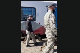 actiune ampla a politiei in gari si trenuri din constanta amenzi de peste 5 000 de lei pentru nereguli 69d557171dd0c