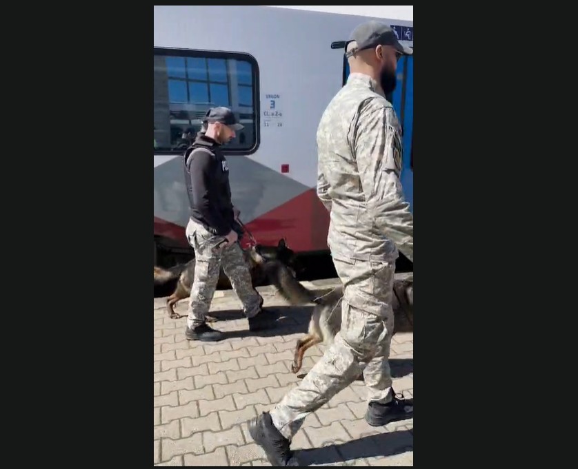 actiune ampla a politiei in gari si trenuri din constanta amenzi de peste 5 000 de lei pentru nereguli 69d557171dd0c