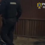 adolescenta cercetata pentru complicitate la trafic de minori victima o fata de doar 13 ani 69e6263e1478e