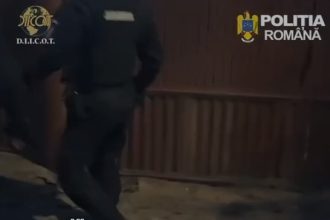 adolescenta cercetata pentru complicitate la trafic de minori victima o fata de doar 13 ani 69e6263e1478e