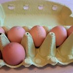 alerta sanitara lot urias de oua contaminate cu salmonella 69da506675d49