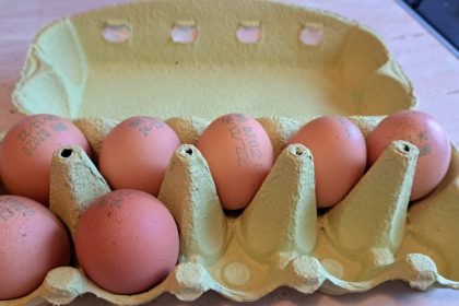 alerta sanitara lot urias de oua contaminate cu salmonella 69da506675d49