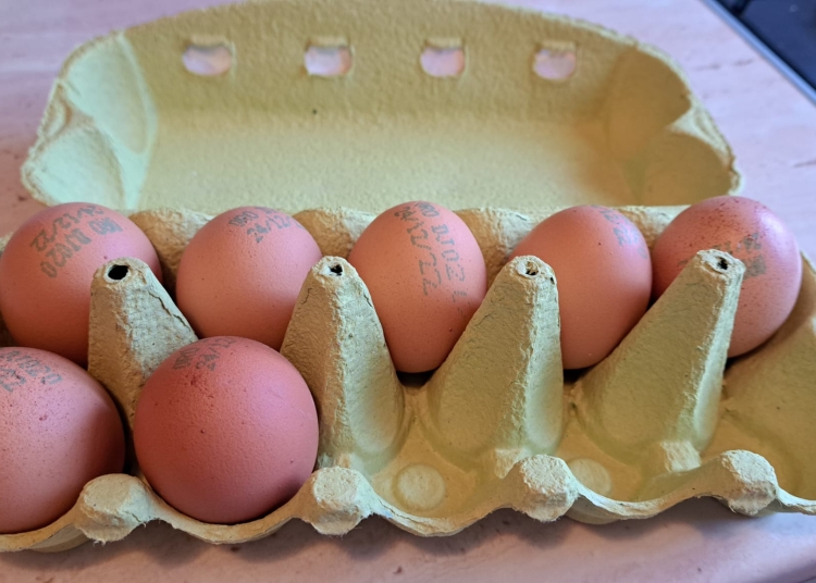 alerta sanitara lot urias de oua contaminate cu salmonella 69da506675d49