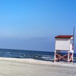 ancheta bovina gasita moarta pe plaja in constanta 69ef372dd31b1