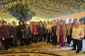 andreea ungureanu noua presedinta a organizatiei de femei 69ccec2178d4a