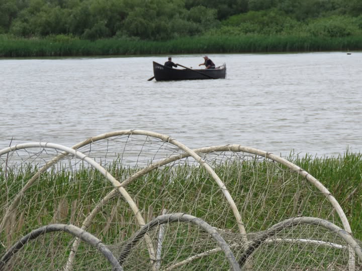 arbdd din 9 aprilie 2026 incepe perioada de prohibitie generala la pescuit 69d4f87b47ef4