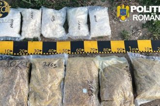 cetatean polonez cercetat pentru trafic international si trafic intern de droguri de mare risc 69e8dee9cabc5