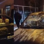 constanta individul care distrugea masini parcate a fost retinut din nou 69e359b1a4cf4