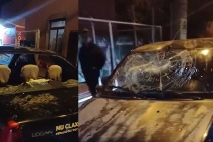 constanta individul care distrugea masini parcate a fost retinut din nou 69e359b1a4cf4