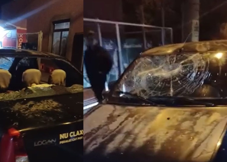 constanta individul care distrugea masini parcate a fost retinut din nou 69e359b1a4cf4