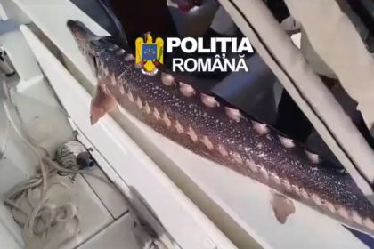 controale in delta dunarii unelte ilegale ambarcatiuni confiscate si dosare penale pentru pescuit in prohibitie 69e4df5ab772b