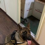 cum s a stins dosarul celor care aduceau tigari in tara dar cu acte de hartie a4 69cca6da942ab