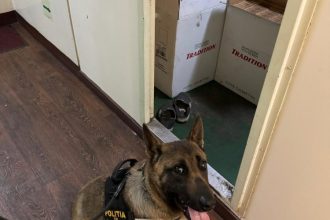 cum s a stins dosarul celor care aduceau tigari in tara dar cu acte de hartie a4 69cca6da942ab