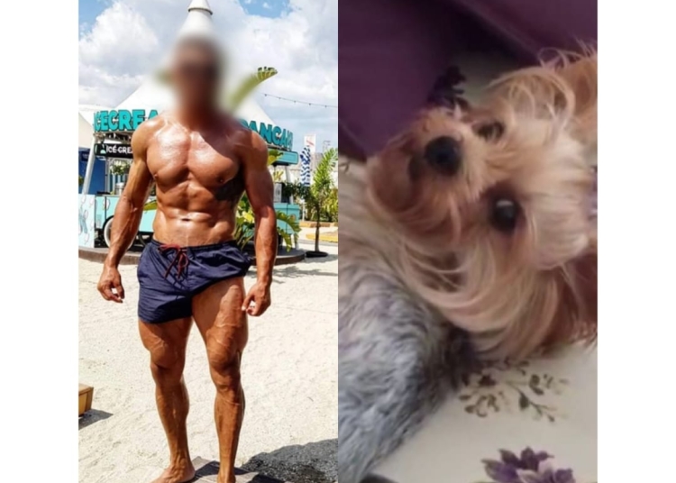 de la salvare miraculoasa dupa ce a fost lovit de tren la ucidere din razbunare caporal constantean condamnat la curtea militara 69e53ea61b82b