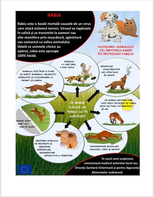 dsvsa constanta informeaza cetatenii asupra prevenirii aparitiei rabiei 69d634ac6ee91
