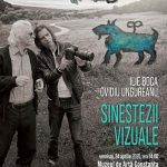 expozitia sinestezii vizuale semnata de ilie boca pe simezele muzeului de arta constanta 69e8783b4a7ed