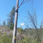 foto circulatie feroviara oprita temporar intre statiile merisor si crivadia si toplita rastolita 69ee19f4287a1