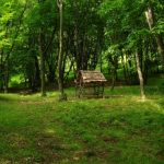 foto muntii macinului in cursa pentru destinatia anului 2026 mai sunt numai cateva zile pana la incheierea votului 69e46b44830dc