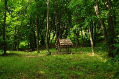 foto muntii macinului in cursa pentru destinatia anului 2026 mai sunt numai cateva zile pana la incheierea votului 69e46b44830dc