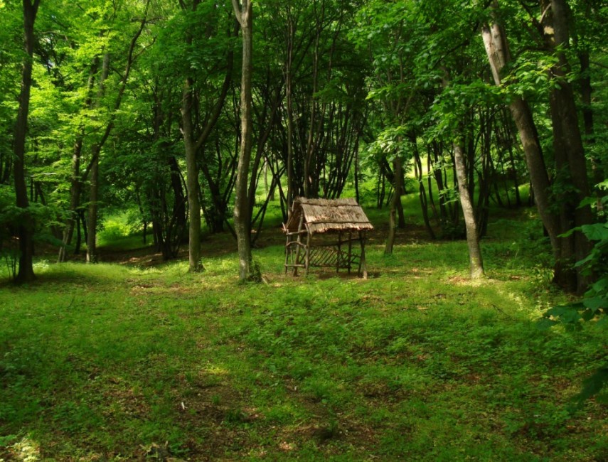 foto muntii macinului in cursa pentru destinatia anului 2026 mai sunt numai cateva zile pana la incheierea votului 69e46b44830dc