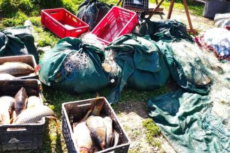 foto zeci de perchezitii urmate de arestari preventive intr un dosar de braconaj piscicol 69e352bb97a25