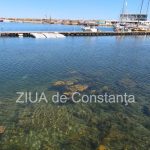 fotovideo poluare in portul turistic tomis apa insalubra chiar langa terase 69e0c09e8600c