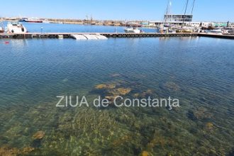 fotovideo poluare in portul turistic tomis apa insalubra chiar langa terase 69e0c09e8600c