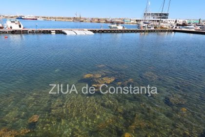 fotovideo poluare in portul turistic tomis apa insalubra chiar langa terase 69e0c09e8600c