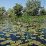 ghidul oaspetelui responsabil si modalitatile de plata a permiselor de acces 69f1d988f26da