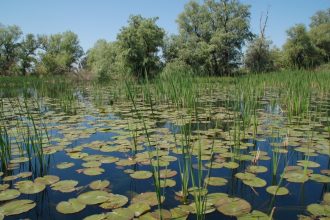 ghidul oaspetelui responsabil si modalitatile de plata a permiselor de acces 69f1d988f26da