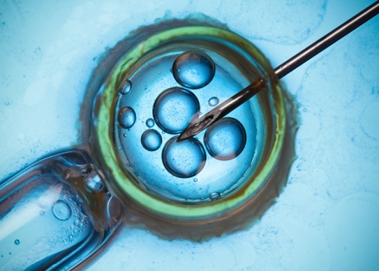 guvernul aproba vouchere pentru proceduri fiv in perioada 2026 2030 sprijin pentru 10 000 de beneficiari anual 69e9ff3da7e58