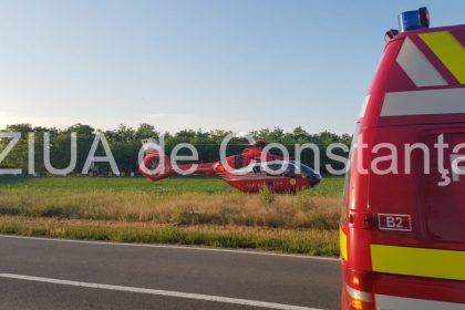 incident grav in judetul alba un barbat a fost strivit de un arbore 69d10e47d3e16