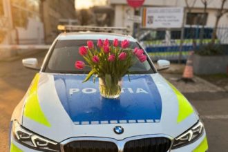 ipj tulcea tuturor celor ce poarta nume de floare le spunem cu drag la multi ani 69d24b1dd52d1